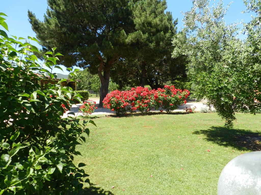Agriturismo Fusini Magliano in Toscana Exterior foto